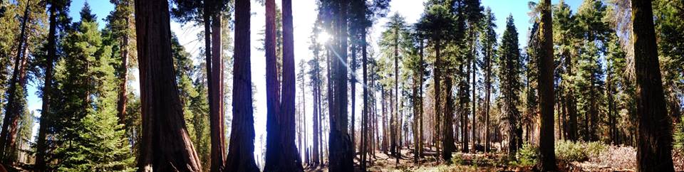 1907949_10202776392467226_2057314186_n